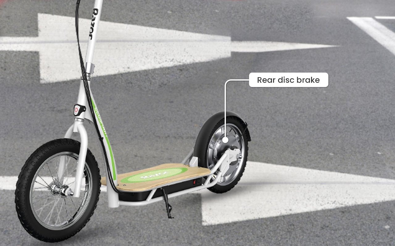 Rear-Disc-Braking-System